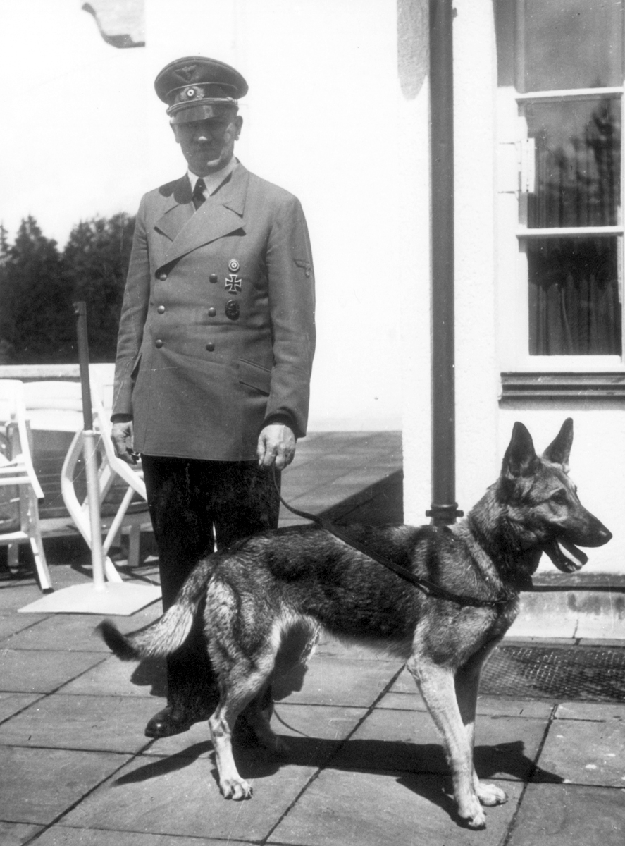 Adolf Hitler with his dog Blondi at the Berghof, from Eva Braun's albums